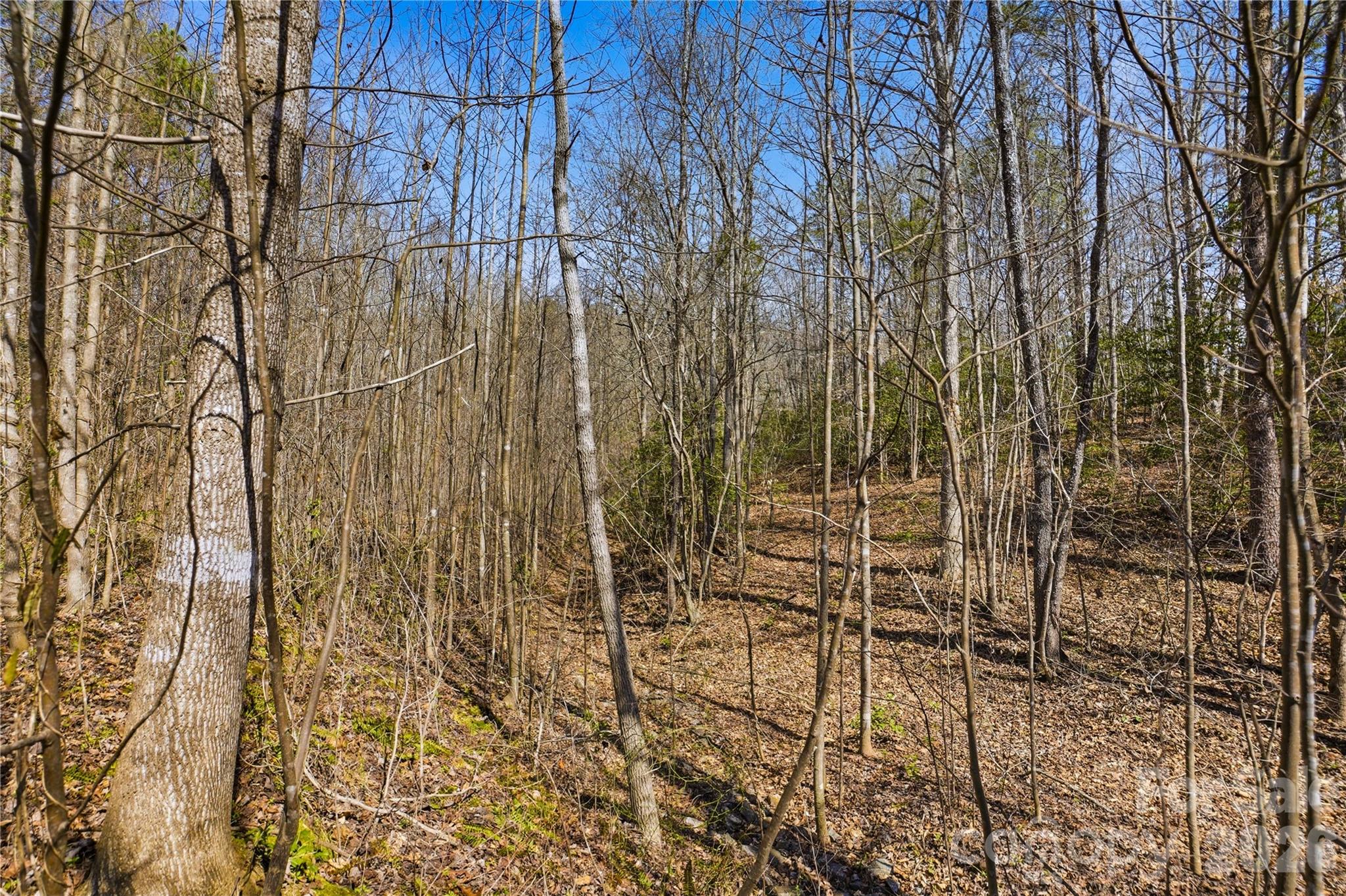 7710 Long Bay Parkway Catawba NC 28609