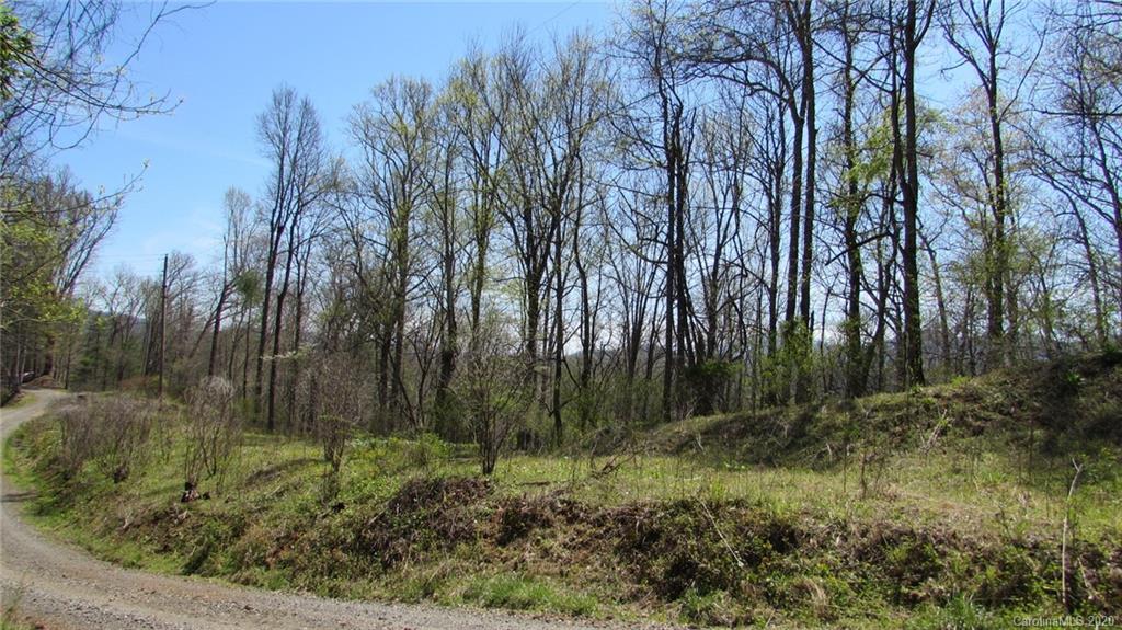 810 Old Log Road Green Mountain NC 28740