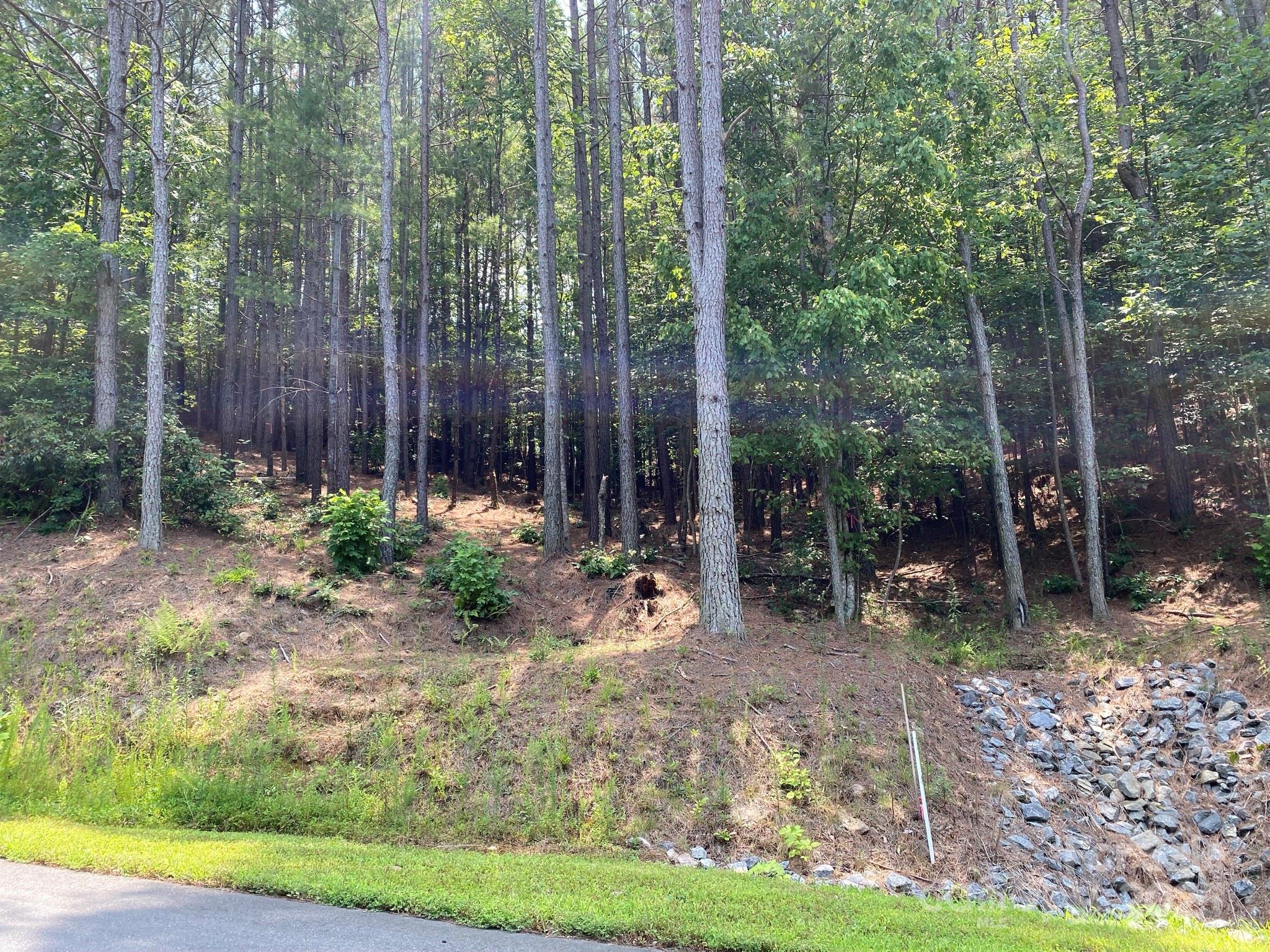 164 W Settings Boulevard NW Valdese NC 28690