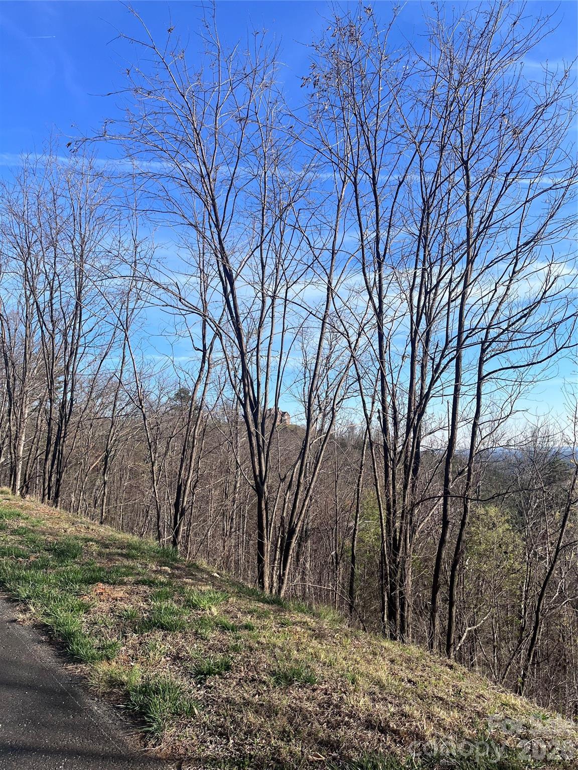 0 Bills Mountain Trail Lake Lure NC 28746