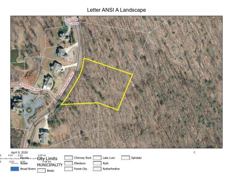 0 Bills Mountain Trail Lake Lure NC 28746