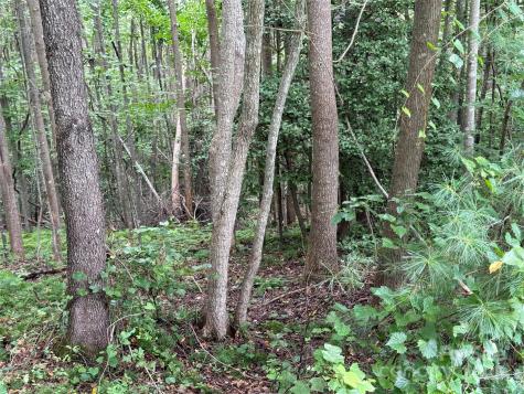 Lot 26 Zinzendorf Lane Moravian Falls NC 28654