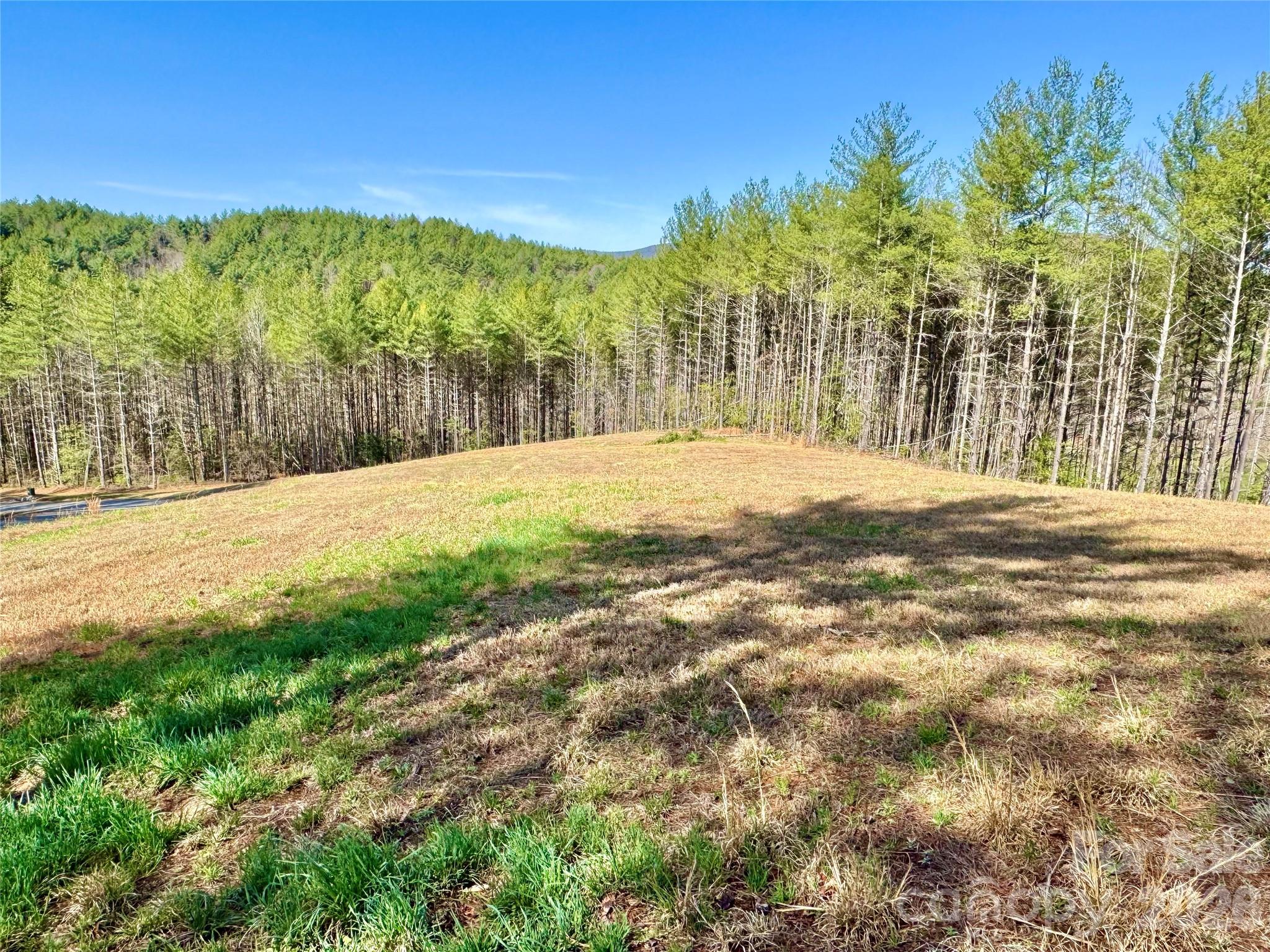 6129 Painted Ridge Trail Lenoir NC 28645
