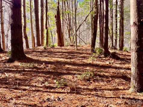 6129 Painted Ridge Trail Lenoir NC 28645