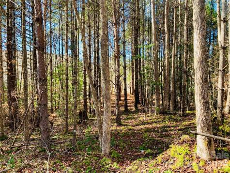 6129 Painted Ridge Trail Lenoir NC 28645
