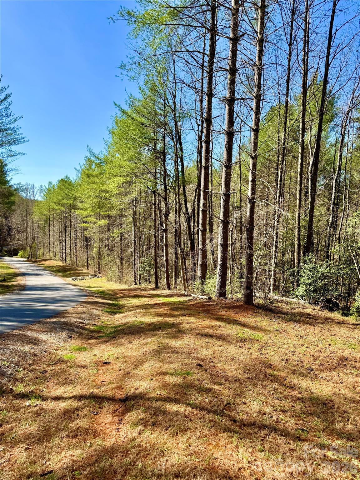 6129 Painted Ridge Trail Lenoir NC 28645