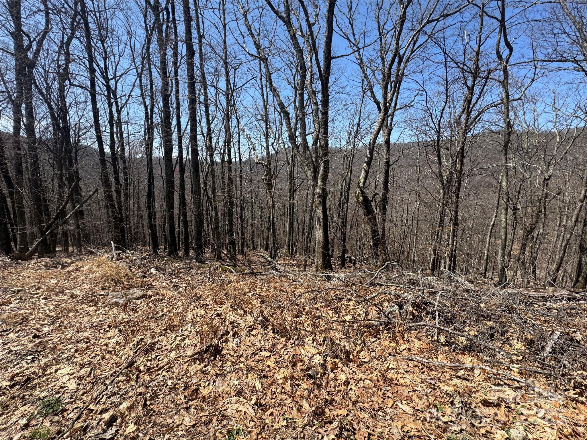 334-335-336 Hamlin Lane Mars Hill NC 28754