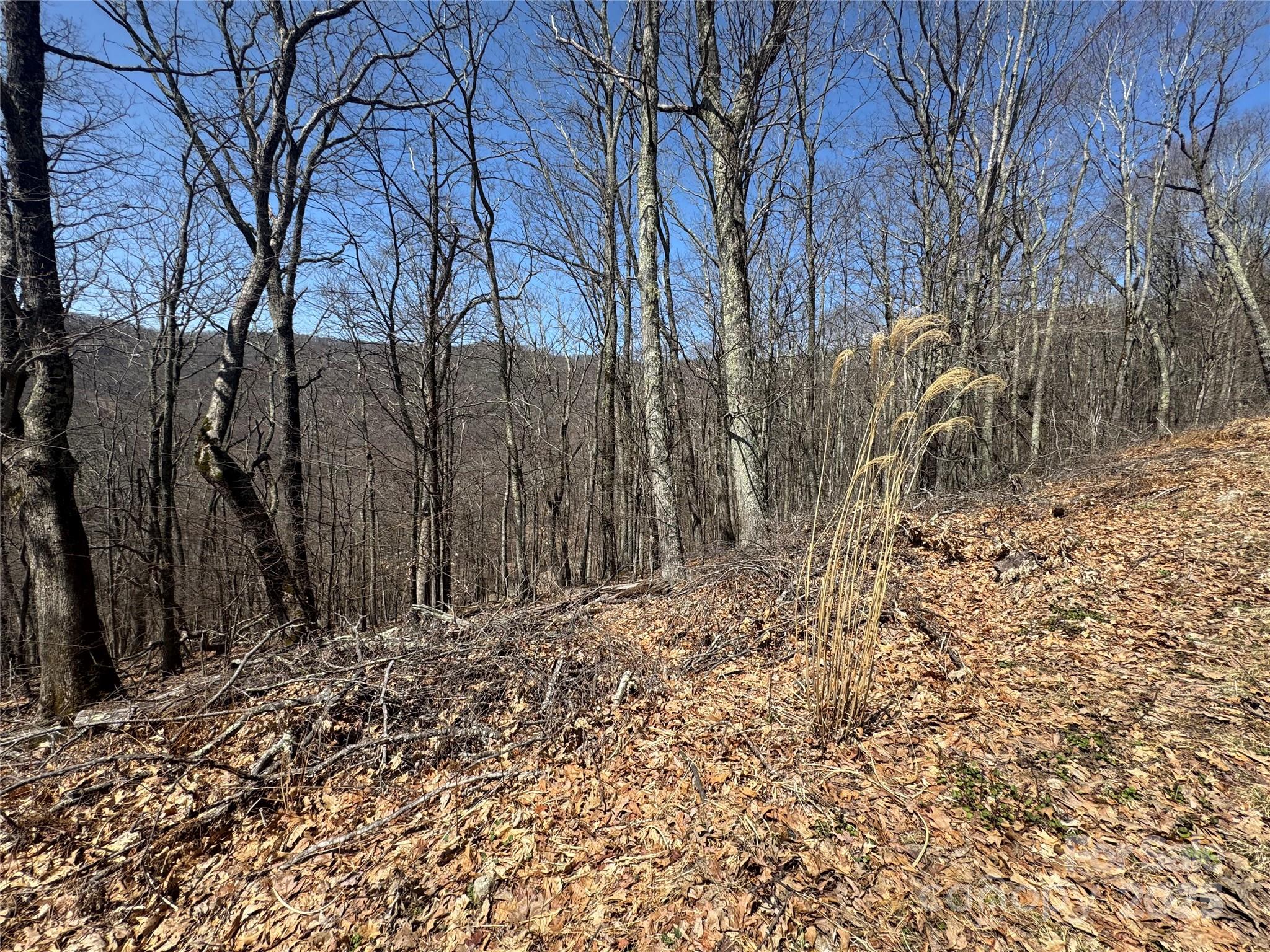 334-335-336 Hamlin Lane Mars Hill NC 28754