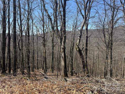 334-335-336 Hamlin Lane Mars Hill NC 28754