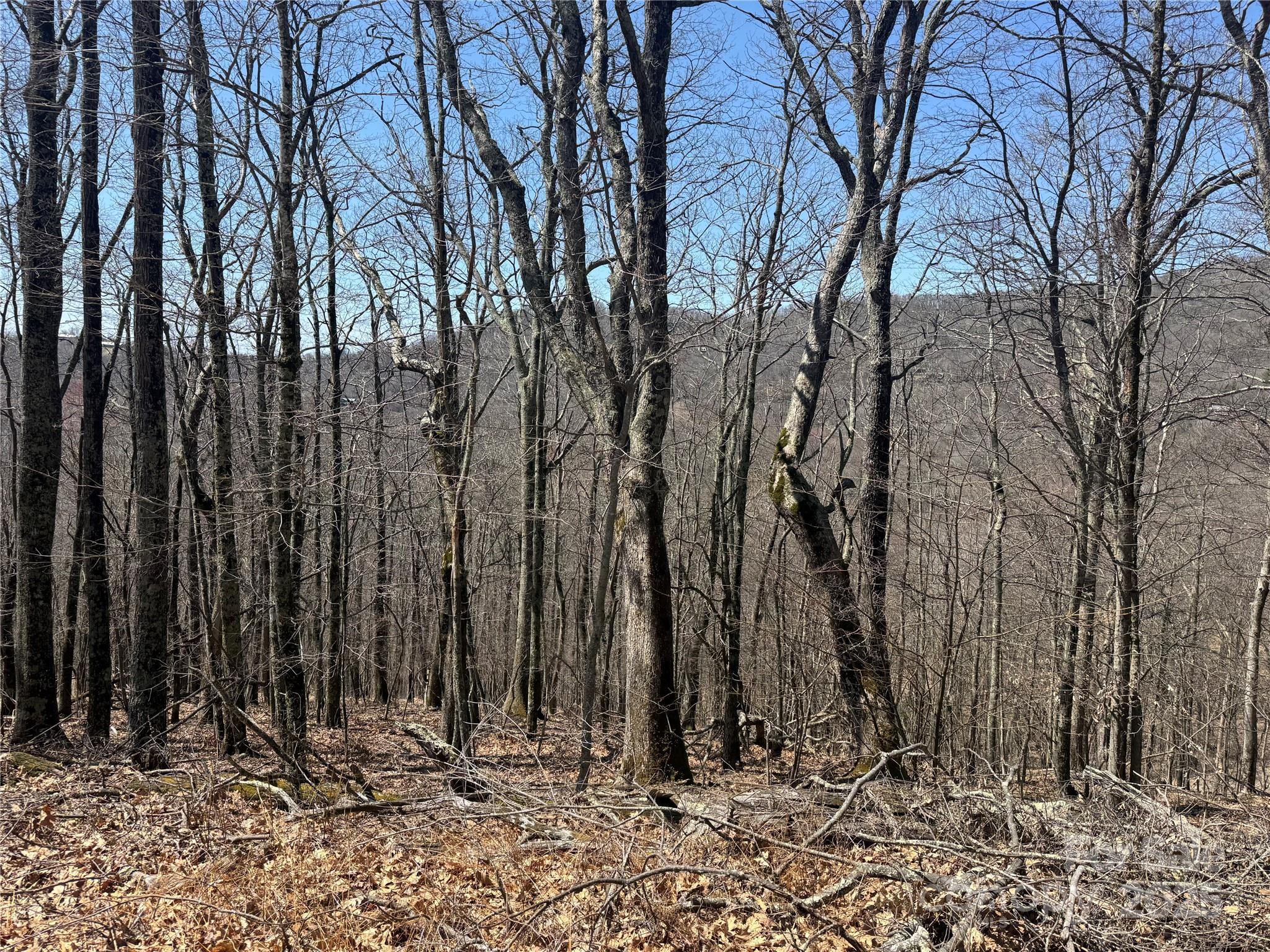 334-335-336 Hamlin Lane Mars Hill NC 28754
