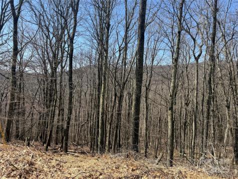 334-335-336 Hamlin Lane Mars Hill NC 28754