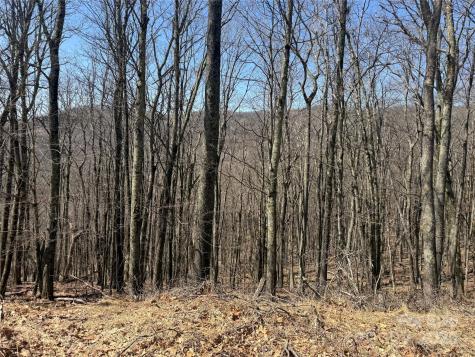 334-335-336 Hamlin Lane Mars Hill NC 28754
