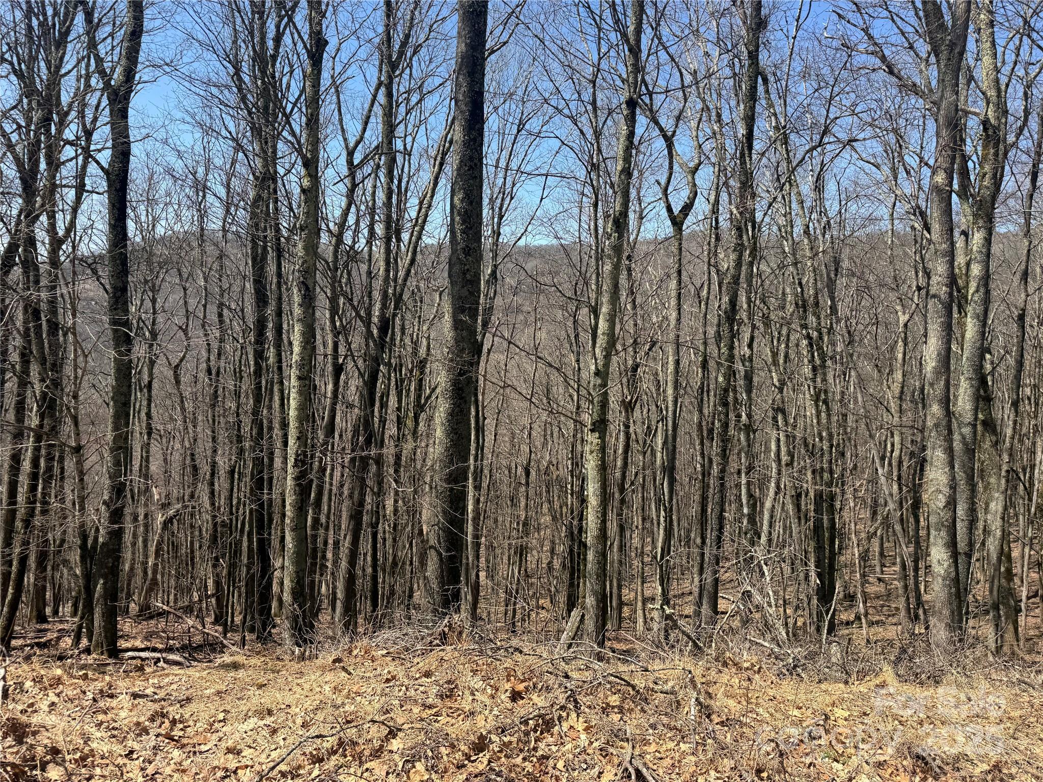 334-335-336 Hamlin Lane Mars Hill NC 28754