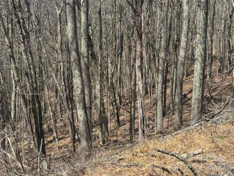 334-335-336 Hamlin Lane Mars Hill NC 28754