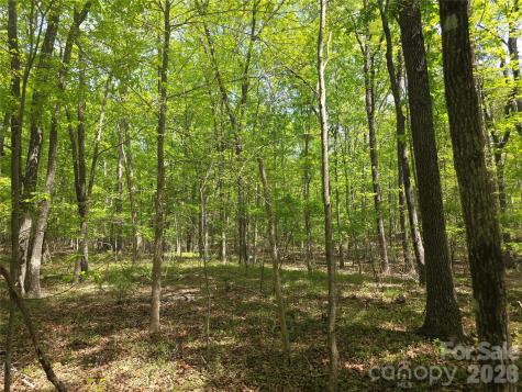 Lot 5 Wolf Pond Road Monroe NC 28112