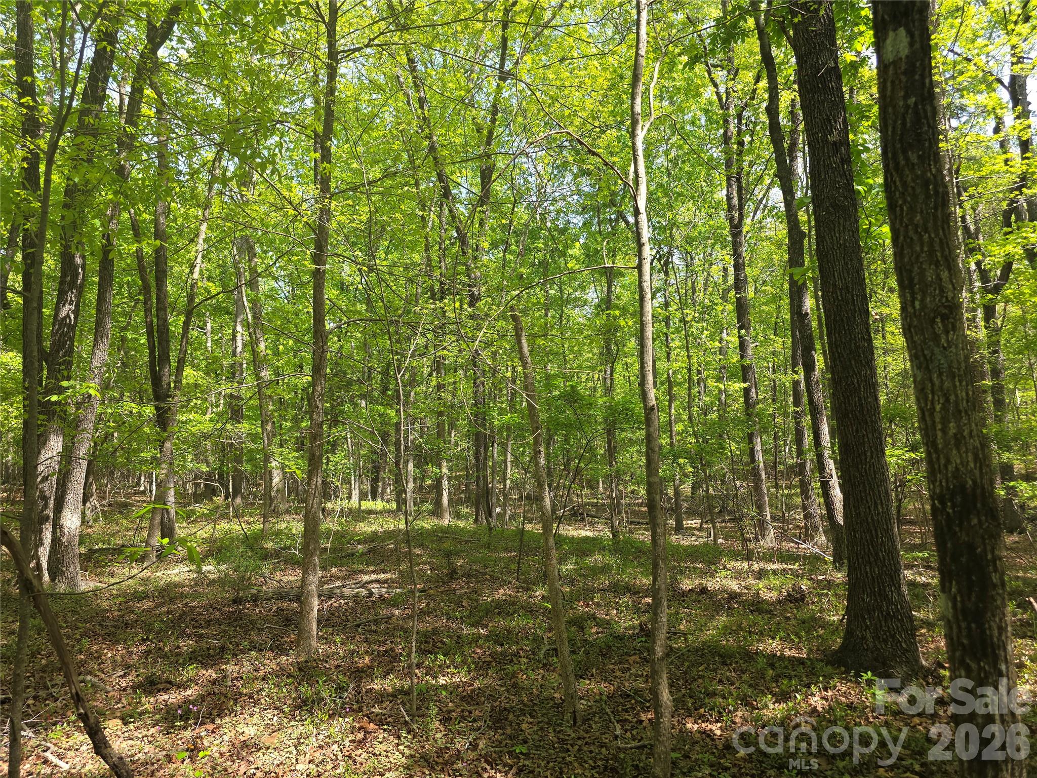 Lot 5 Wolf Pond Road Monroe NC 28112