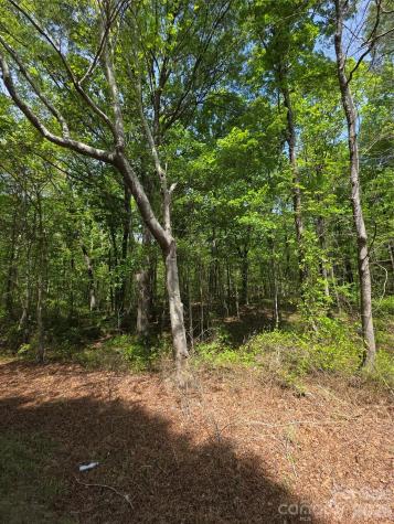Lot 5 Wolf Pond Road Monroe NC 28112