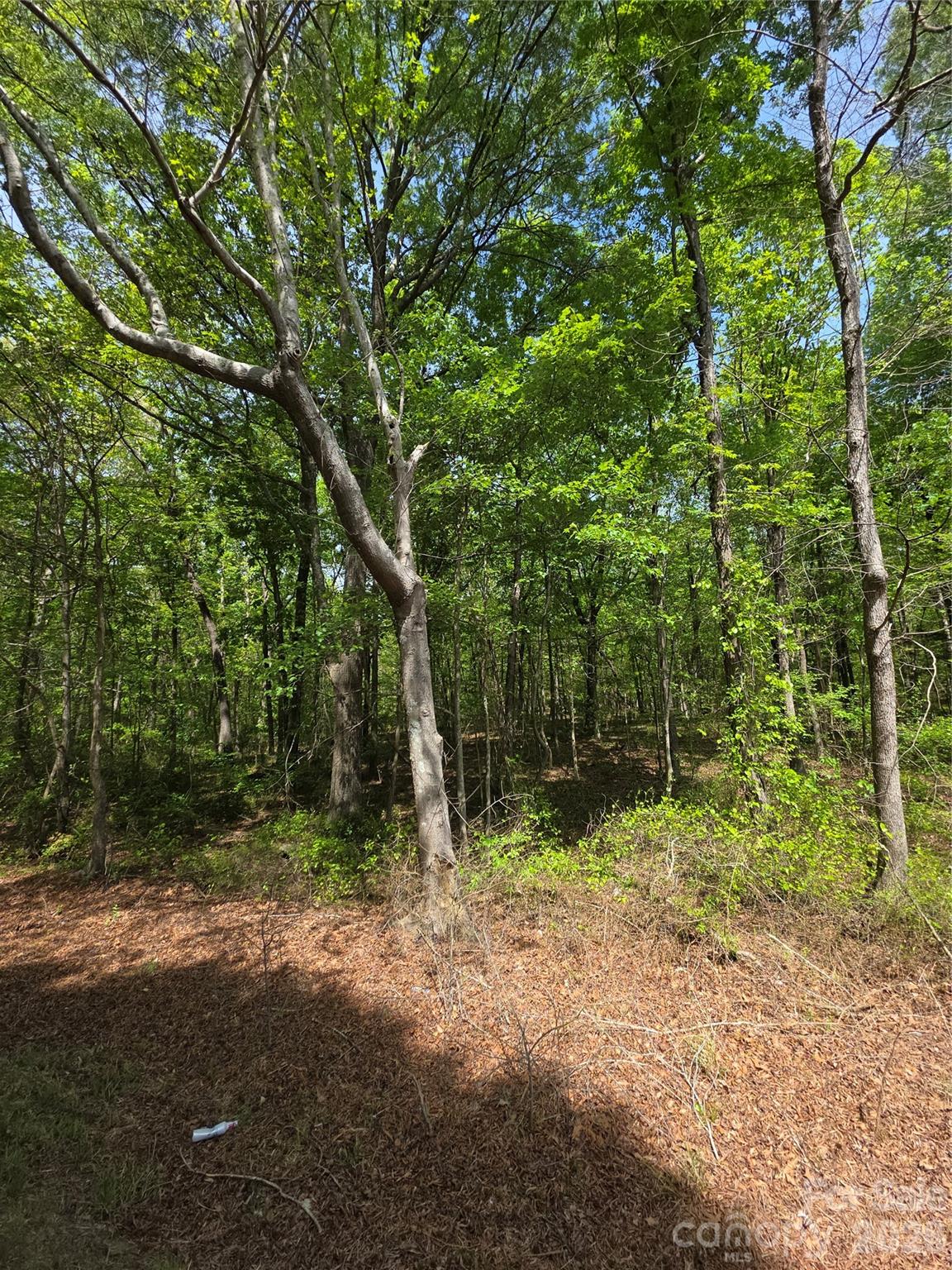 Lot 5 Wolf Pond Road Monroe NC 28112