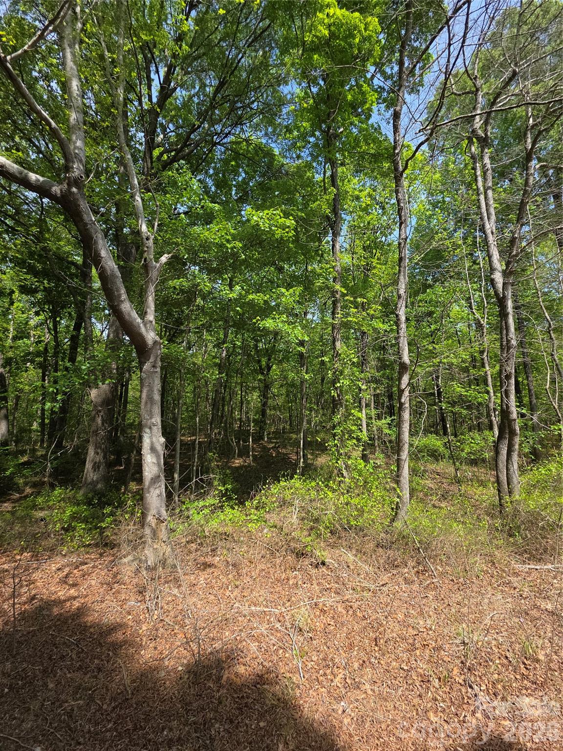 Lot 5 Wolf Pond Road Monroe NC 28112