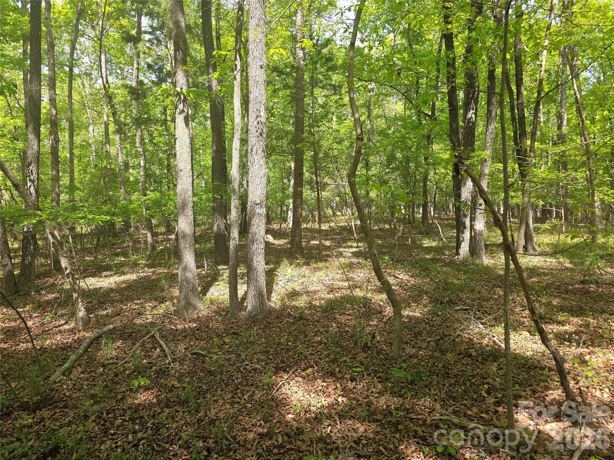 Lot 5 Wolf Pond Road Monroe NC 28112