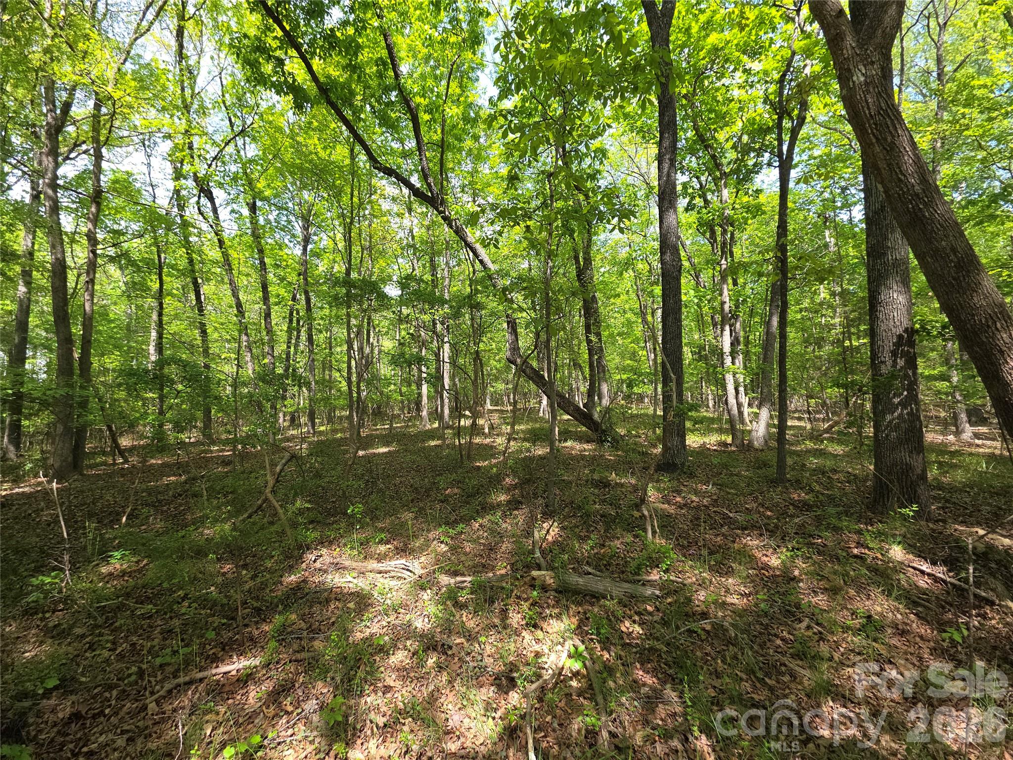 Lot 5 Wolf Pond Road Monroe NC 28112