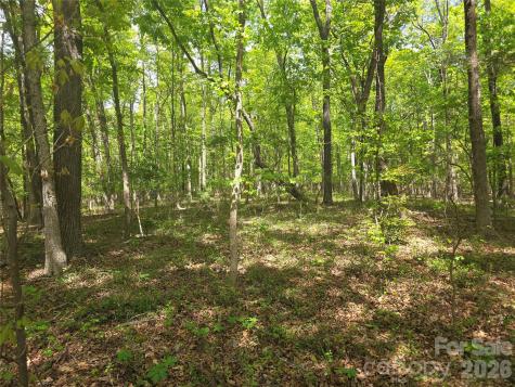 Lot 5 Wolf Pond Road Monroe NC 28112