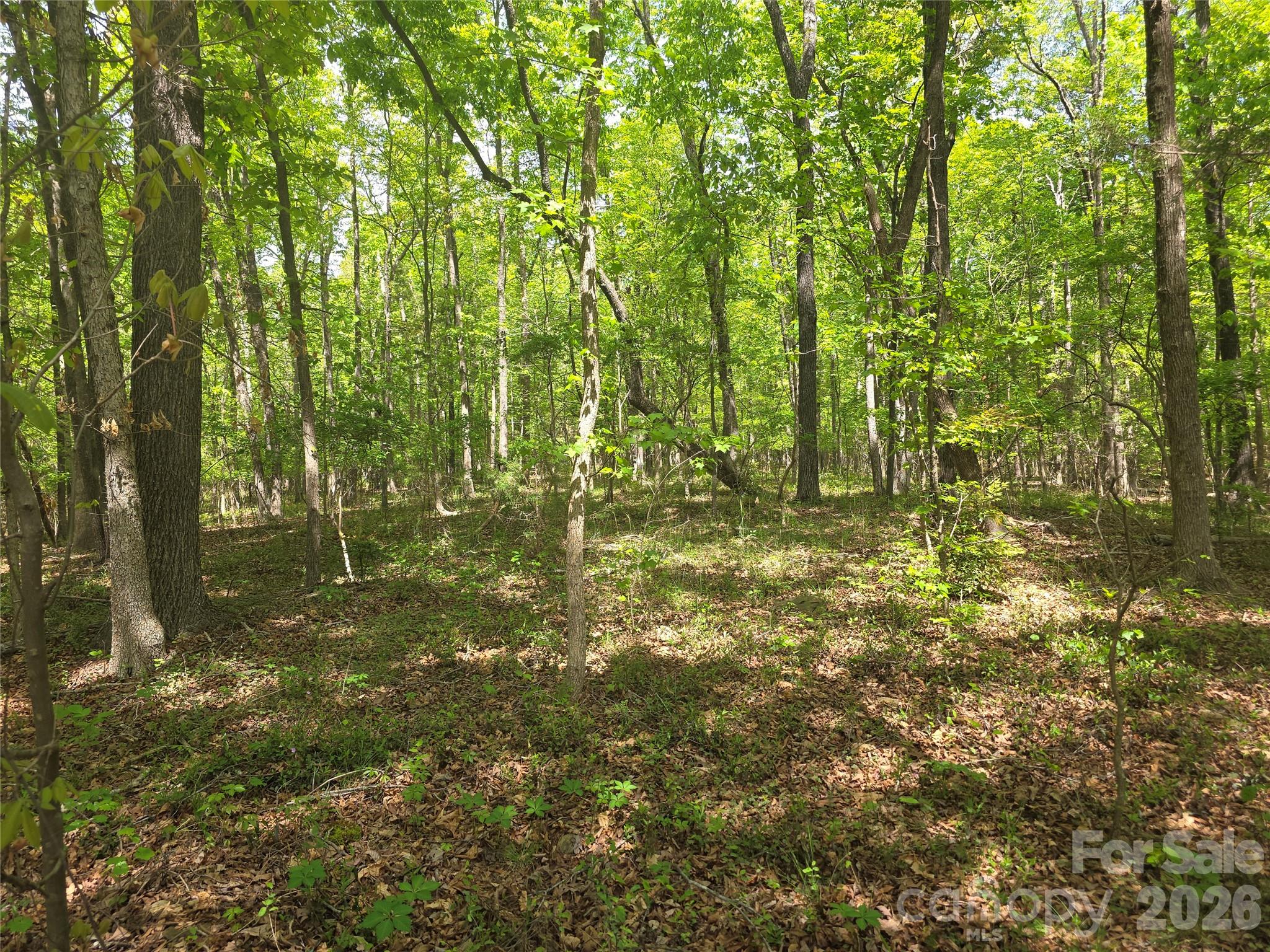 Lot 5 Wolf Pond Road Monroe NC 28112