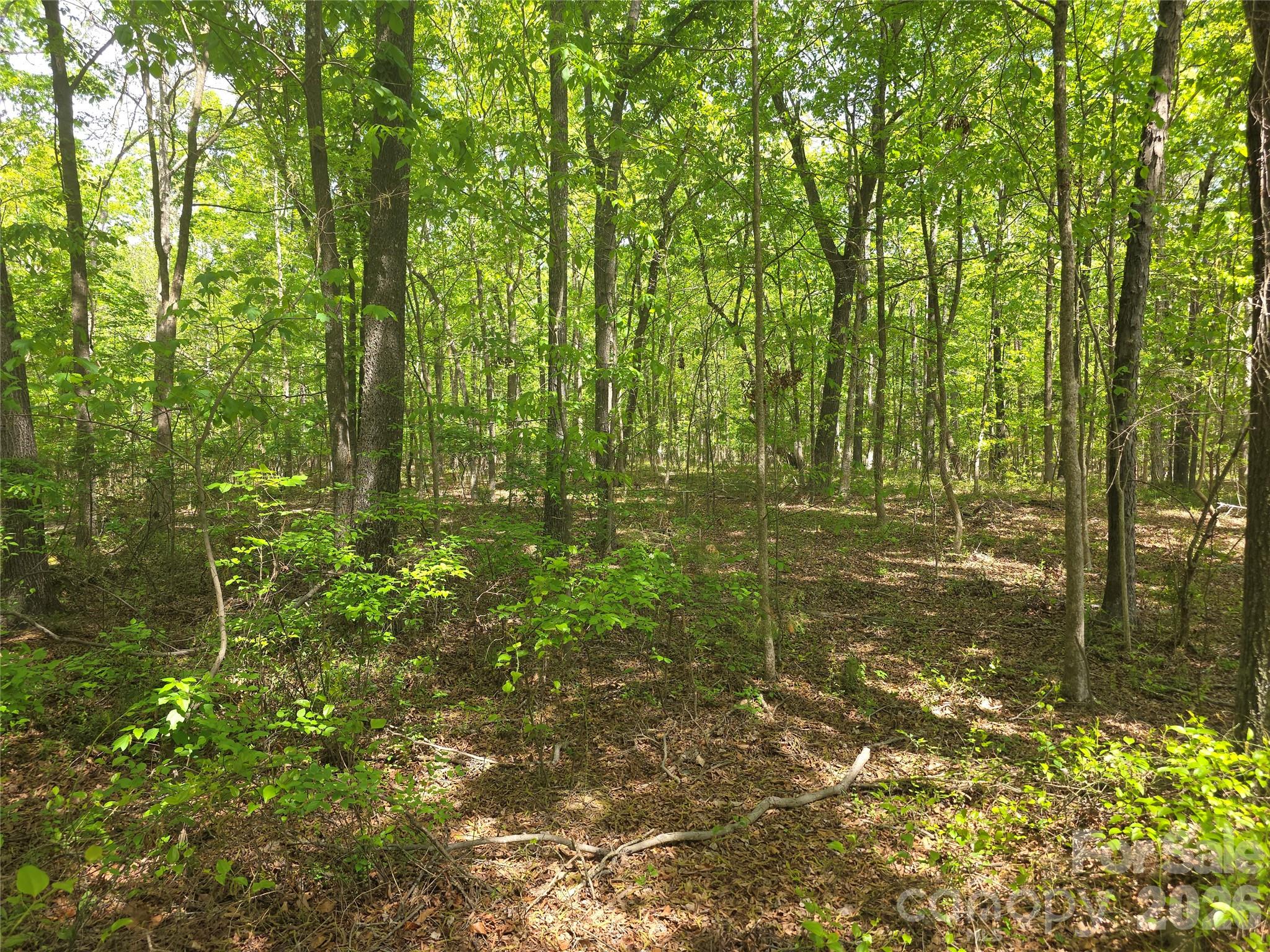 Lot 5 Wolf Pond Road Monroe NC 28112