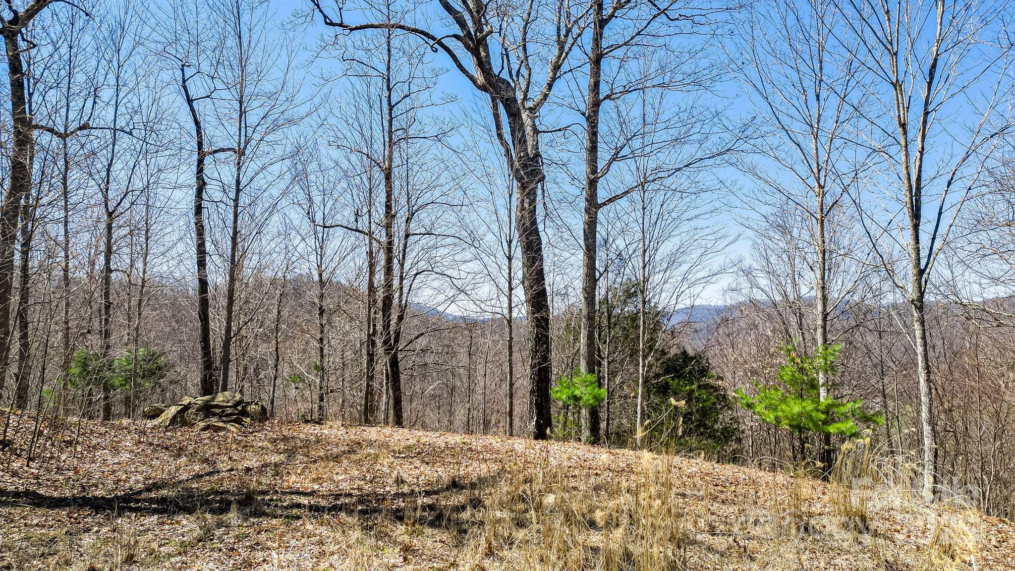 15 Our Way Drive Mars Hill NC 28754