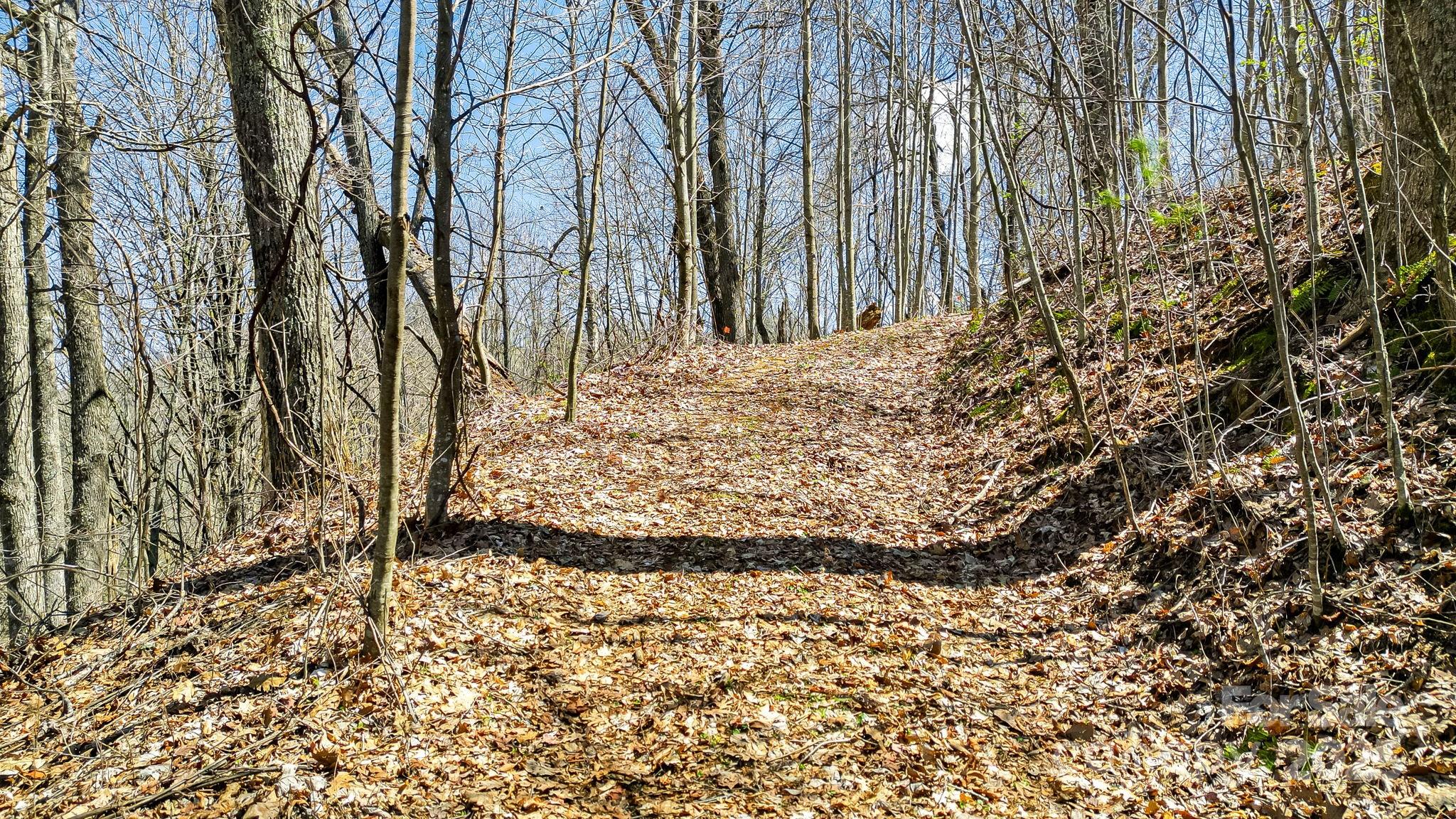15 Our Way Drive Mars Hill NC 28754
