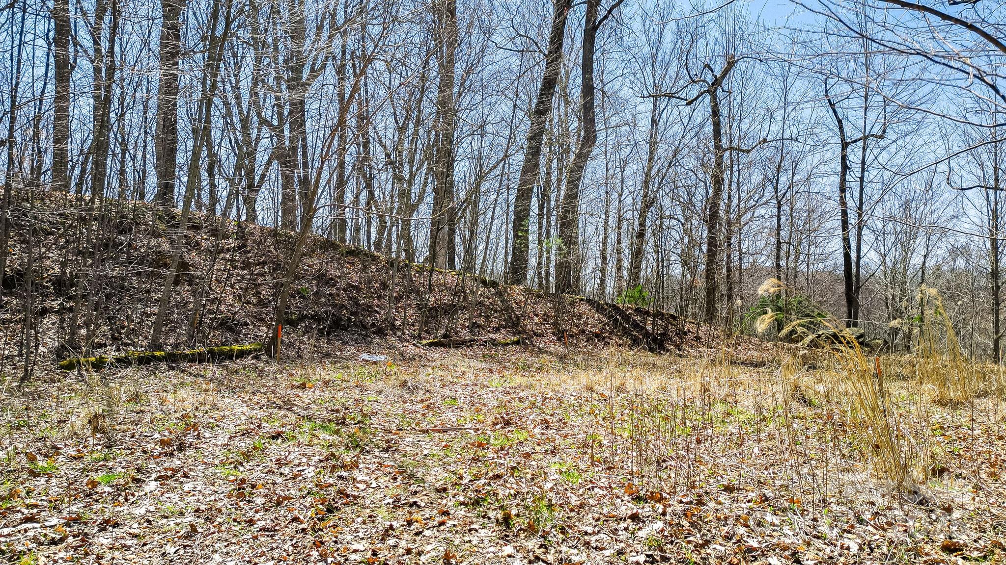 15 Our Way Drive Mars Hill NC 28754