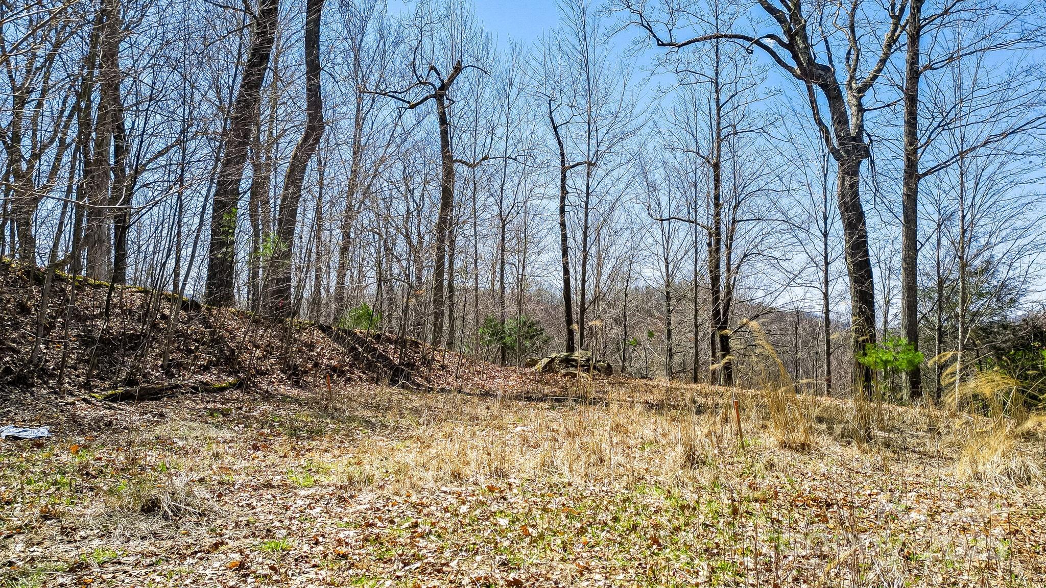15 Our Way Drive Mars Hill NC 28754