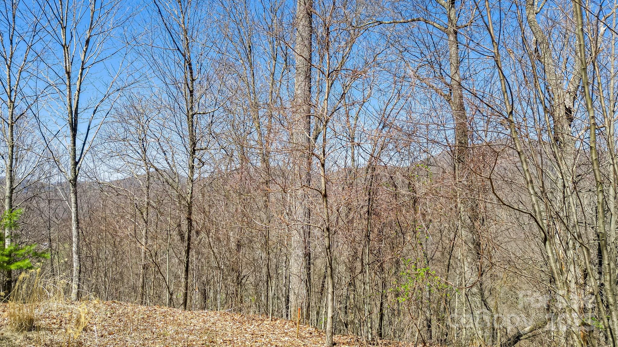 15 Our Way Drive Mars Hill NC 28754