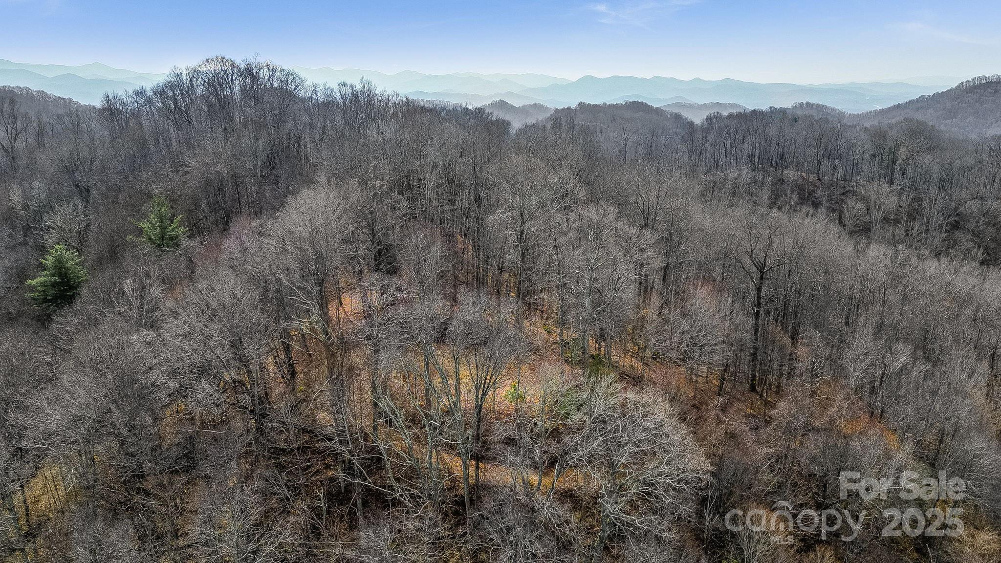 15 Our Way Drive Mars Hill NC 28754