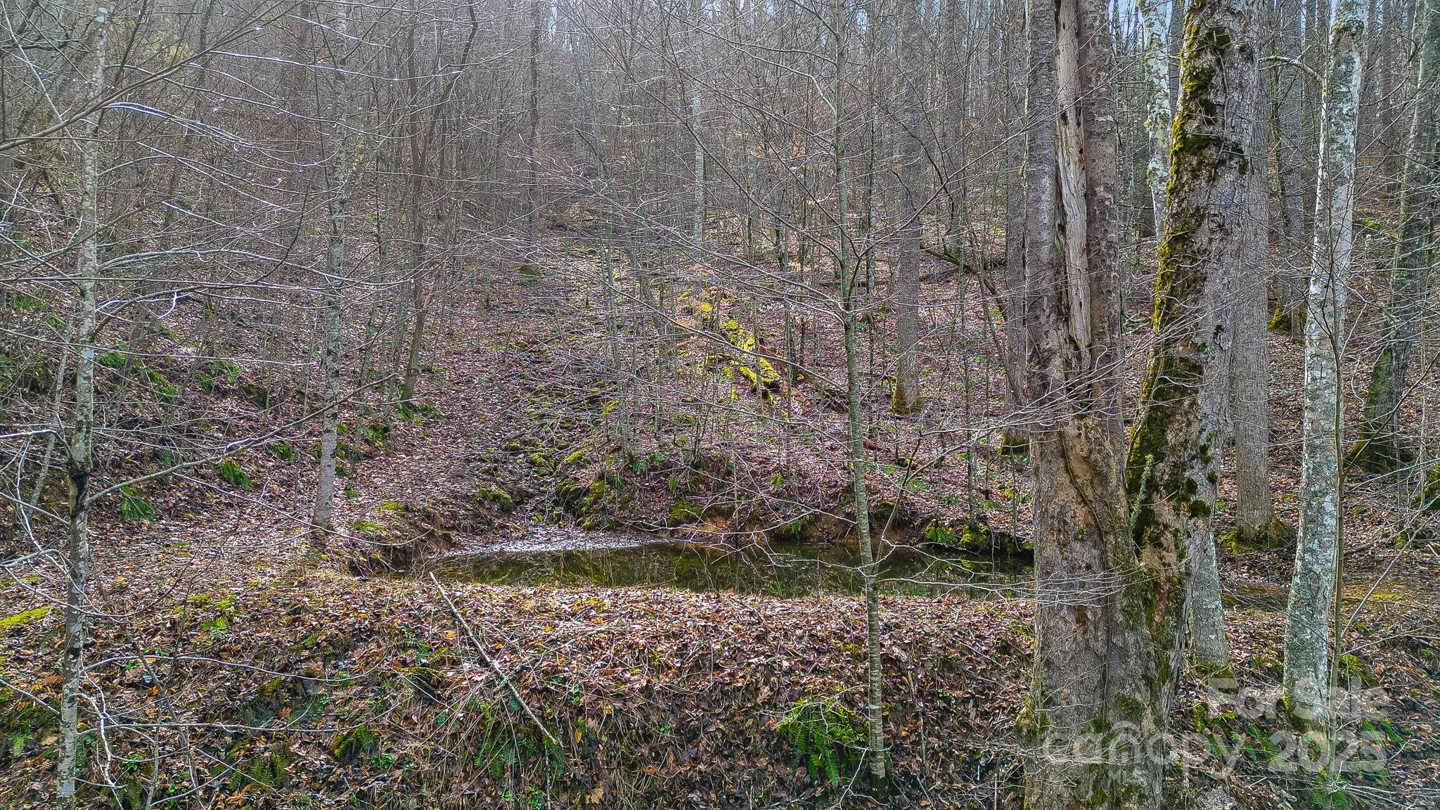 15 Our Way Drive Mars Hill NC 28754