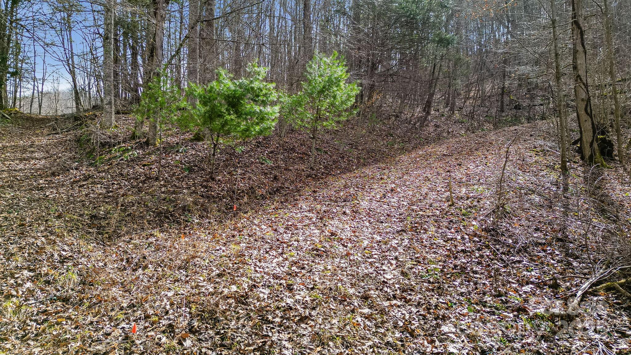 15 Our Way Drive Mars Hill NC 28754
