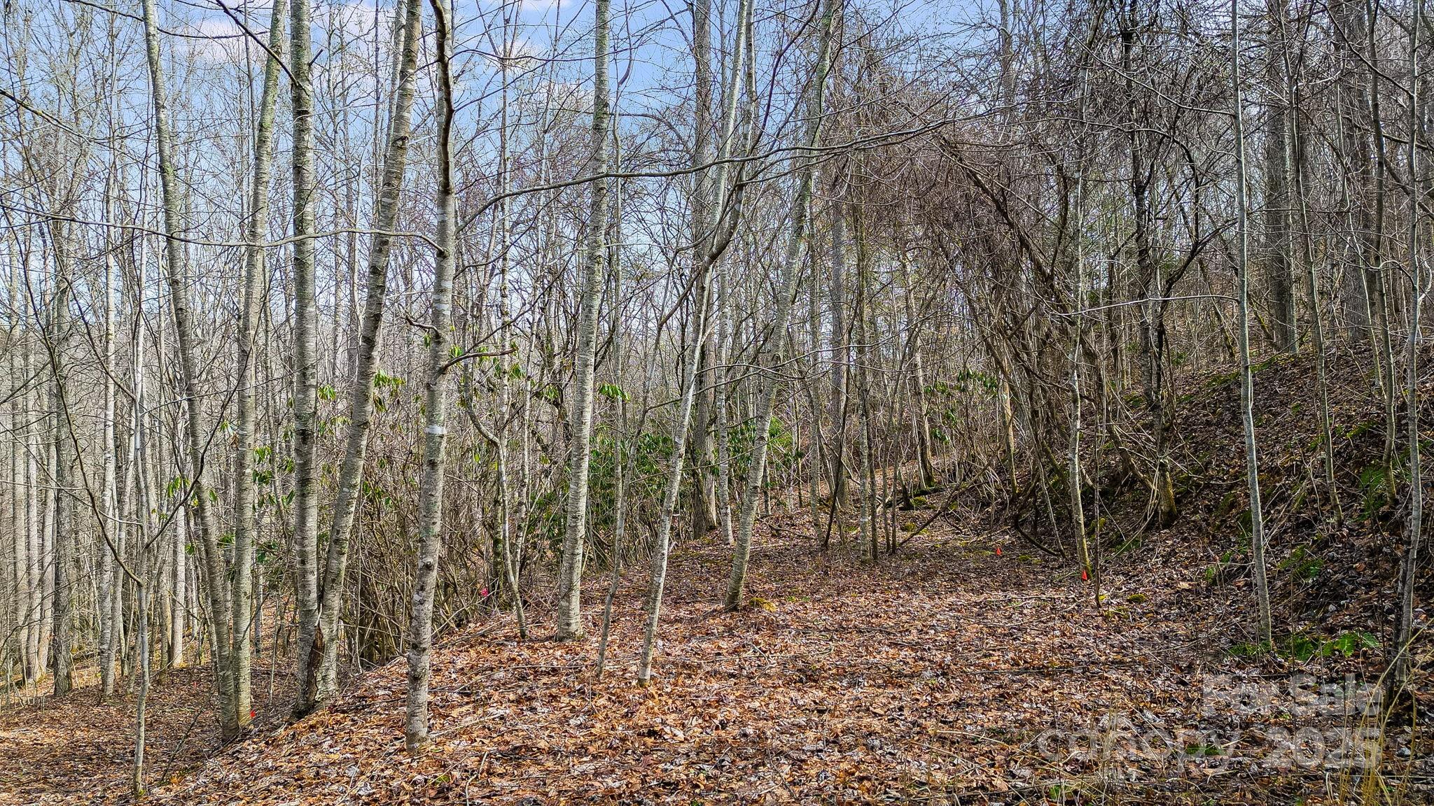 15 Our Way Drive Mars Hill NC 28754