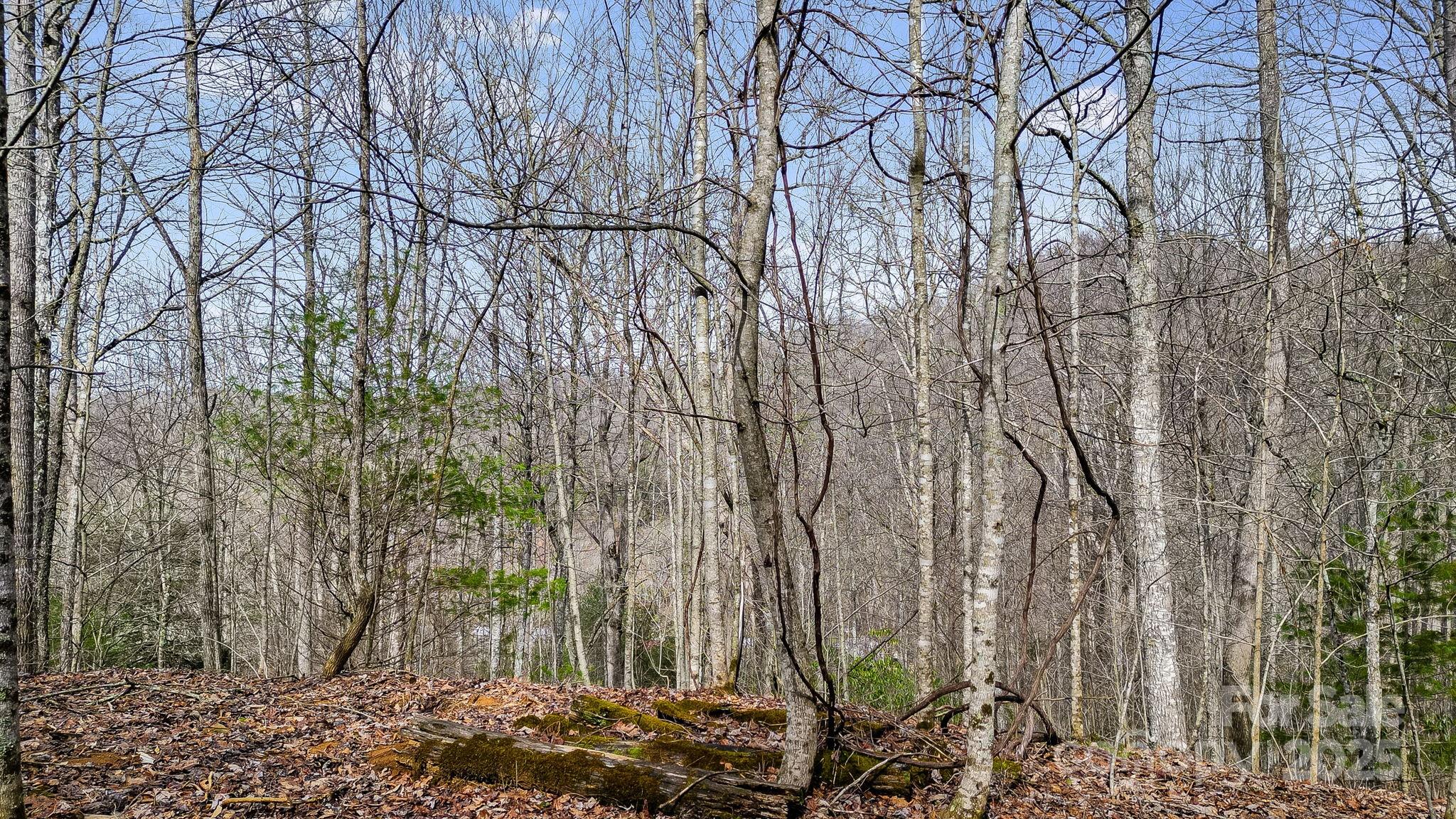 15 Our Way Drive Mars Hill NC 28754