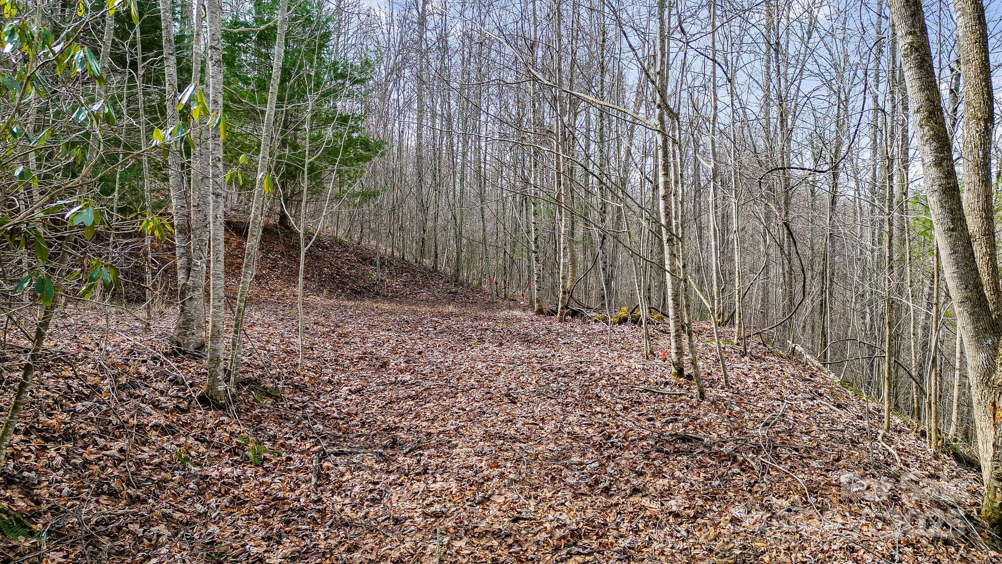 15 Our Way Drive Mars Hill NC 28754