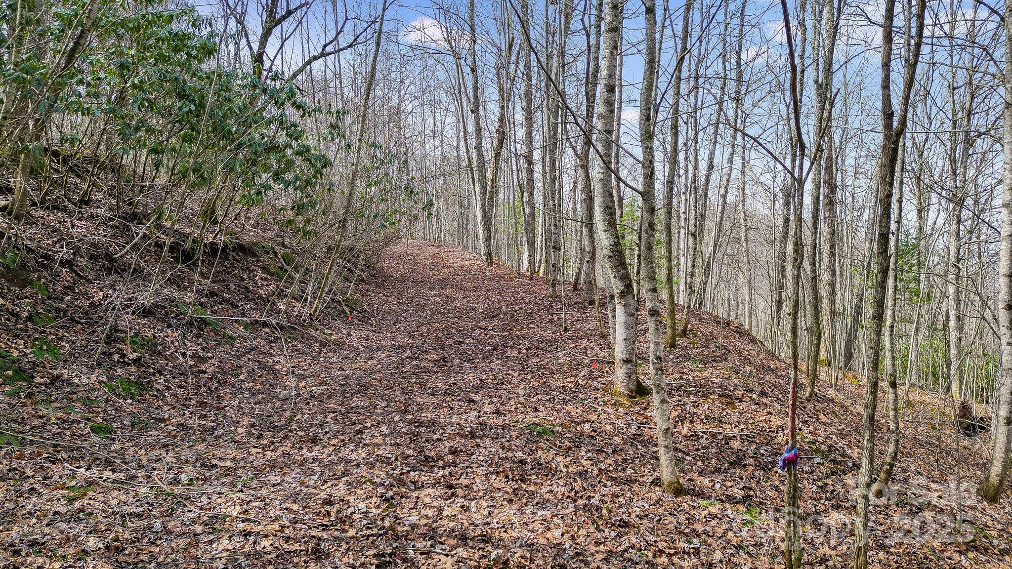 15 Our Way Drive Mars Hill NC 28754