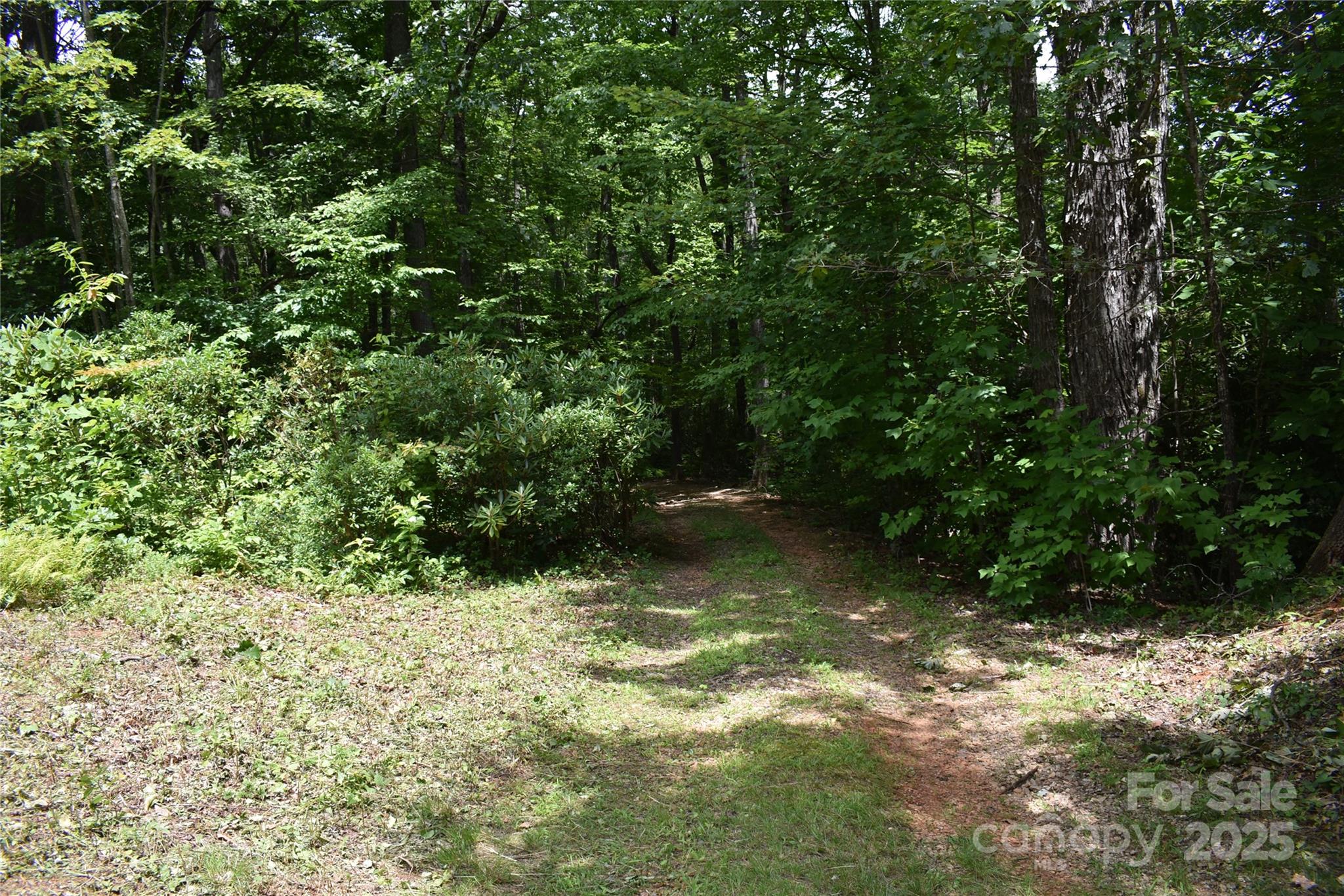 50 Firefly Springs Lane Candler NC 28715