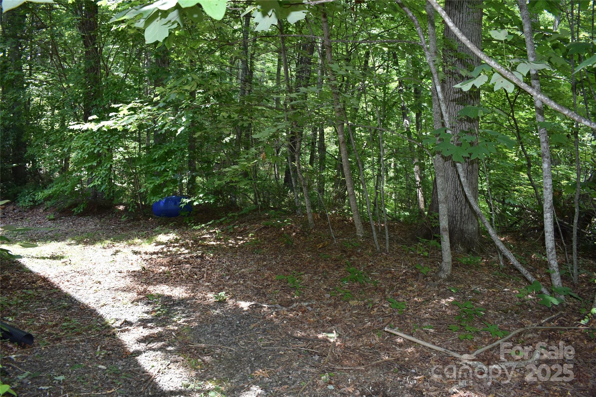 50 Firefly Springs Lane Candler NC 28715