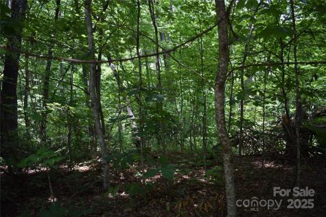 50 Firefly Springs Lane Candler NC 28715