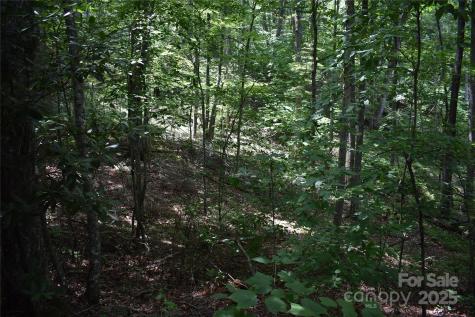50 Firefly Springs Lane Candler NC 28715