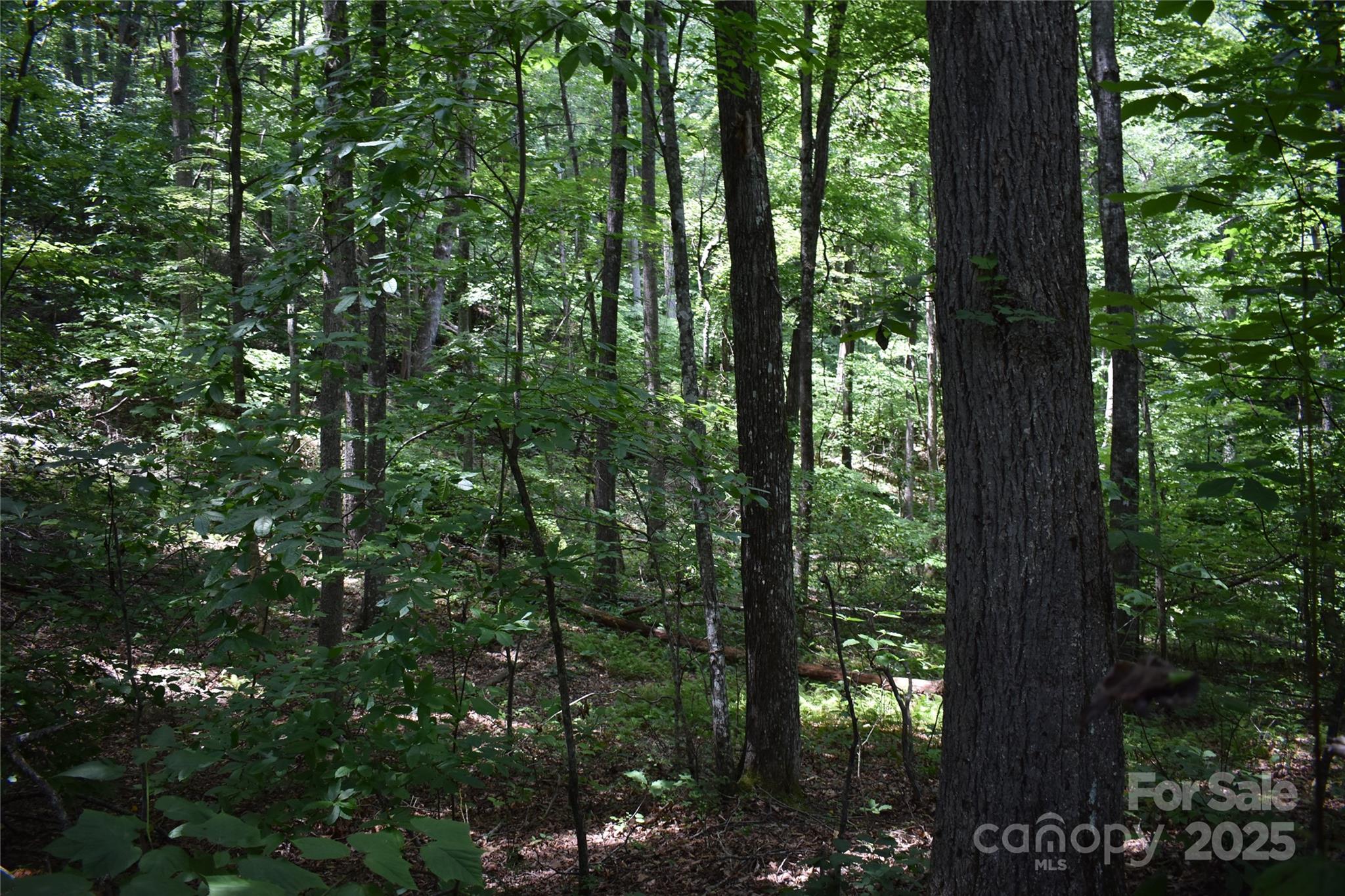 50 Firefly Springs Lane Candler NC 28715