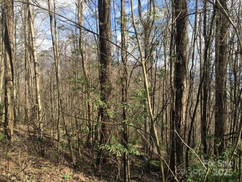 0 Kitty Lane Waynesville NC 28785