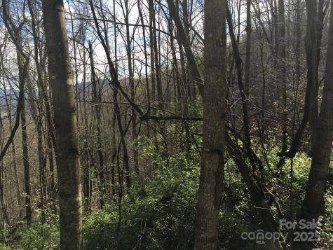 0 Kitty Lane Waynesville NC 28785