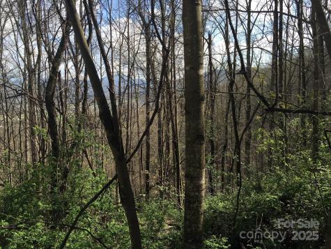 0 Kitty Lane Waynesville NC 28785