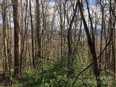 0 Kitty Lane Waynesville NC 28785