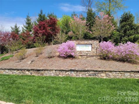 Town Mountain Homes for Sale